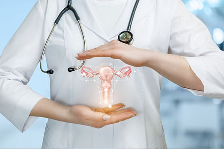 Doctor holding digital illustration of female reproductive system